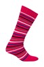 023396 PATTERNED SKI TUBE 2-PACK
