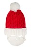 024617 XMAS SANTA BEARD BEANIE