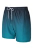 025293 ARUBA OMBRE SWIM SHORT