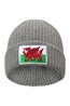 028307 WELSH FLAG BEANIE