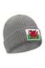 028307 WELSH FLAG BEANIE