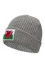 028307 WELSH FLAG BEANIE