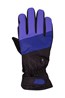028445 TRAIL BLAZER WATERPROOF WOMENS SKI GLOVE