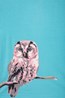 028691 SB OWL TEE