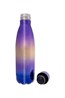 029696 METALLIC DW BOTTLE 490ML