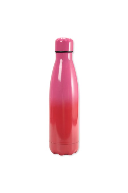 030263 PRINTED DW BOTTLE 460ML