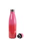 030263 PRINTED DW BOTTLE 460ML