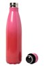 030263 PRINTED DW BOTTLE 460ML