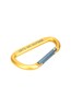 030269 KIT NEALE LARGE KARABINER