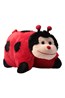 030413 CHARACTER PILLOW - LADYBIRD