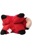 030413 CHARACTER PILLOW - LADYBIRD
