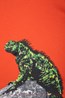 031220 IGUANA KIDS TEE