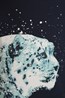 031221 SNOW LEOPARD KIDS TEE