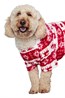 031598 DOG FAIRISLE JUMPER MED