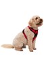 031634 DOG REFLECTIVE PADDED HARNESS SML