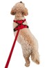 031634 DOG REFLECTIVE PADDED HARNESS SML