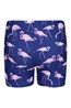 032101 GIRLS PRINTED SWIMMING SHORTS