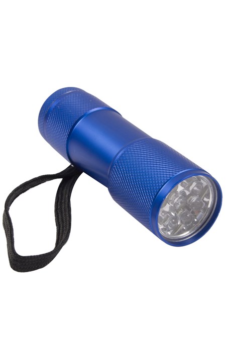 Fun 9 LED Gift Torch