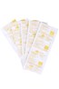 Oasis Water Purification Tablets
