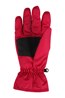 Womens Ski Gloves