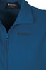 Alder Mens Gilet
