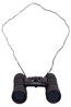021706 BINOCULAR
