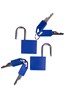 021719 TWIN PADLOCKS