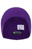 Sanford Beanie