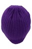 Sanford Beanie