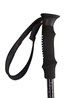 022602 COMPACT WALKING POLE