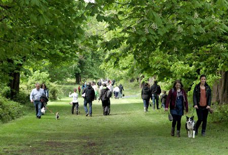 Dog walking day Hever Castle