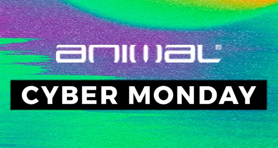 B2: Animal Cyber Monday