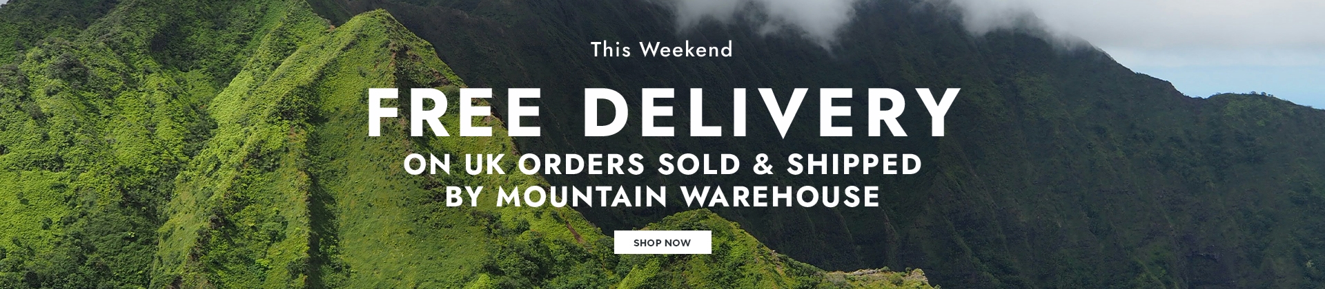 H1: FREE DELIVERY STARTS