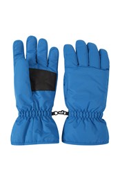 Mens Ski Gloves Blue