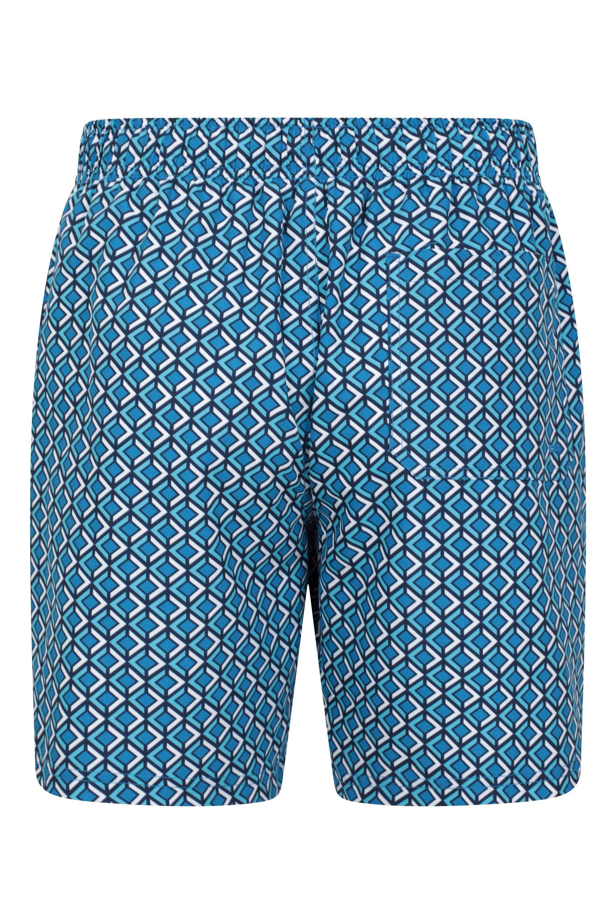 Aruba Printed Mens Swim Shorts