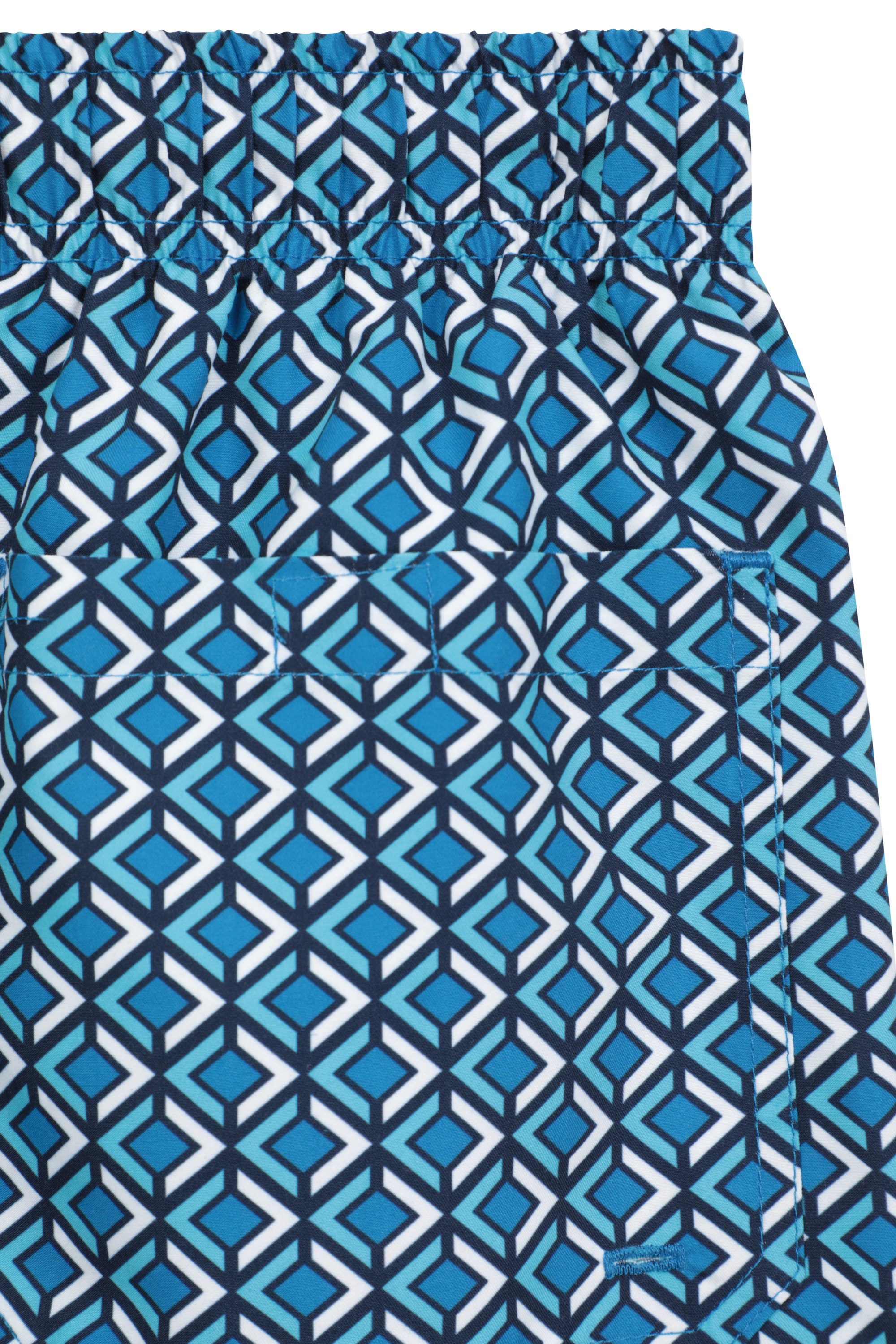 Aruba Printed Mens Swim Shorts