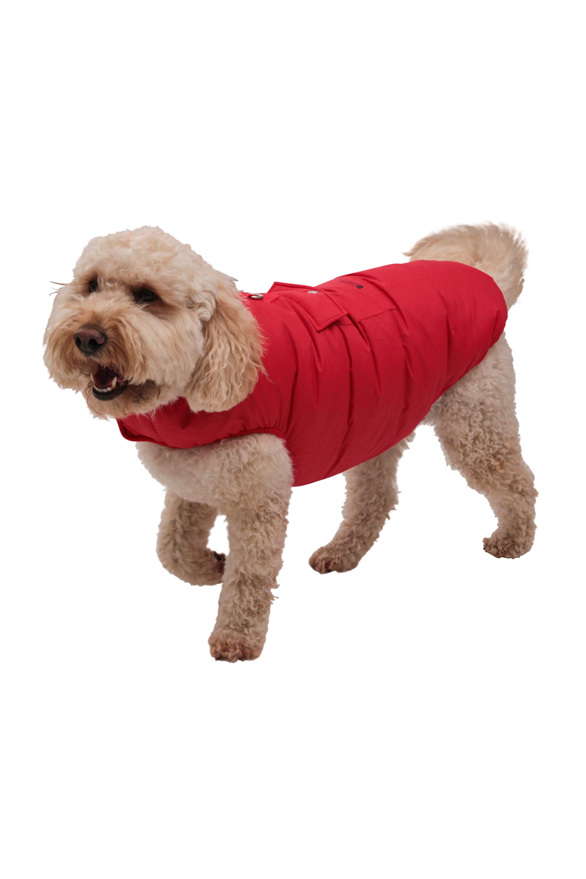 Veste pour chien matelassée imperméable - Large - Rouge
