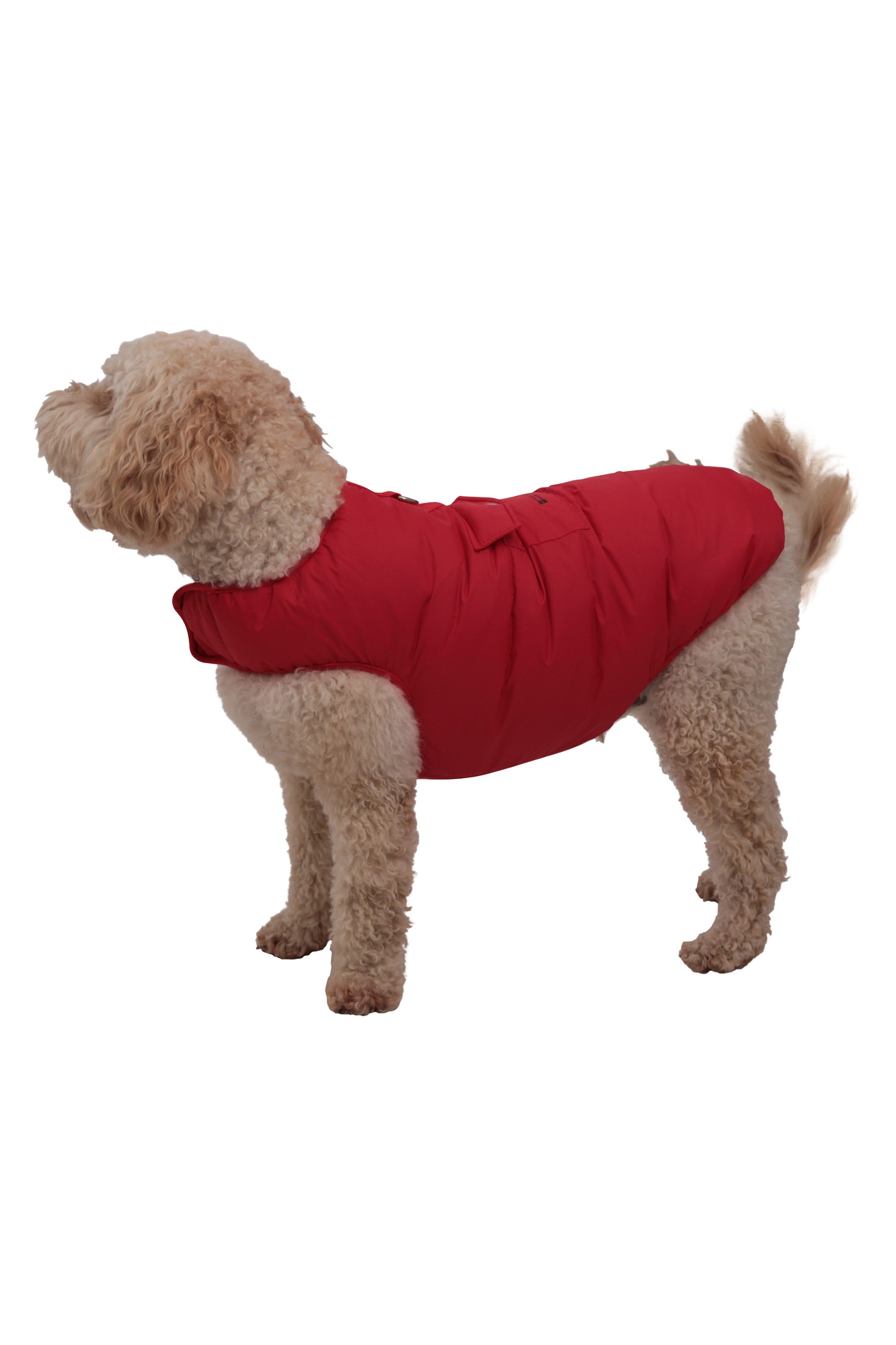 Mountain warehouse dog coat Clearance
