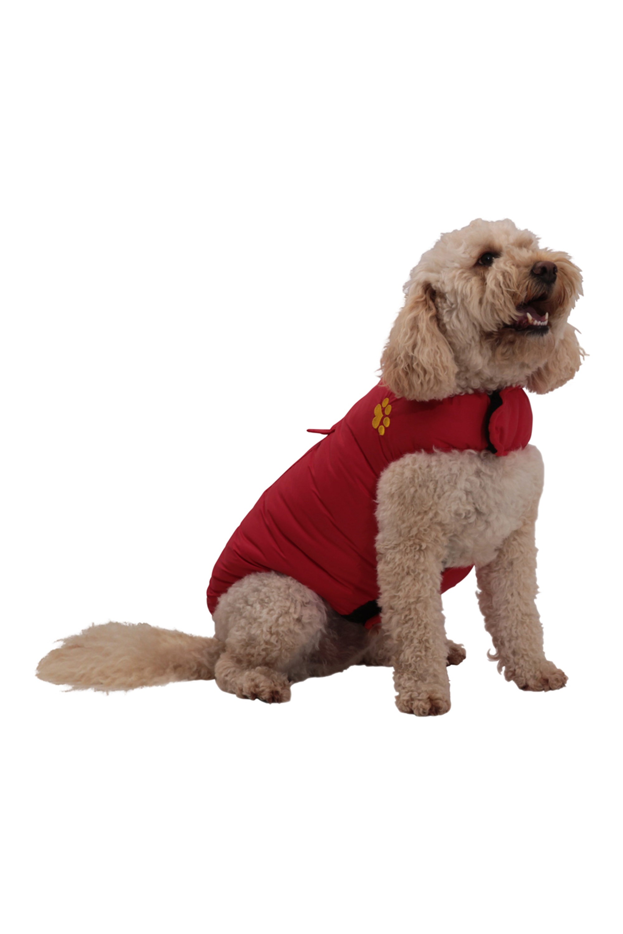 Mountain warehouse outlet dog coats