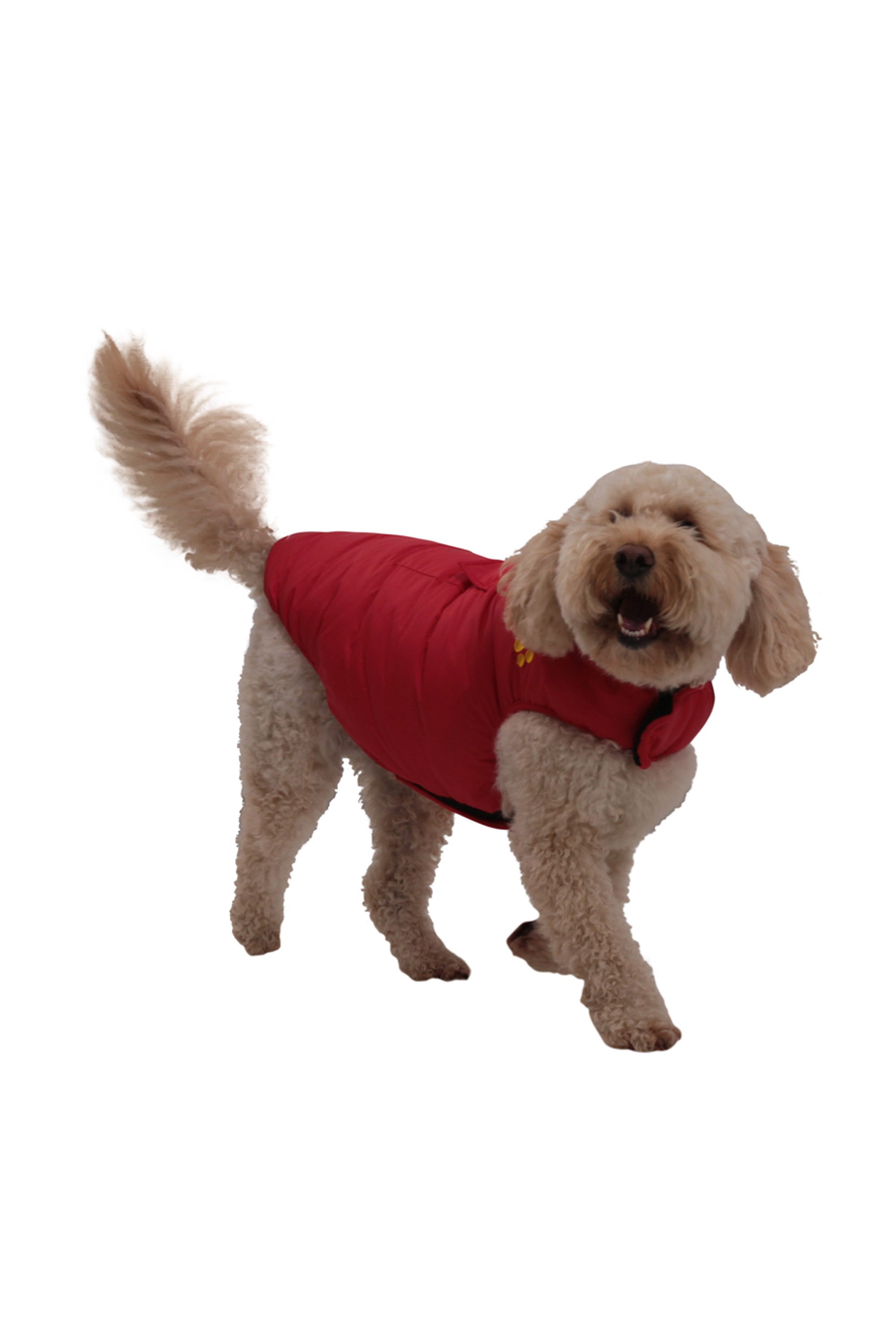 Padded Water Resistant Dog Jacket Large