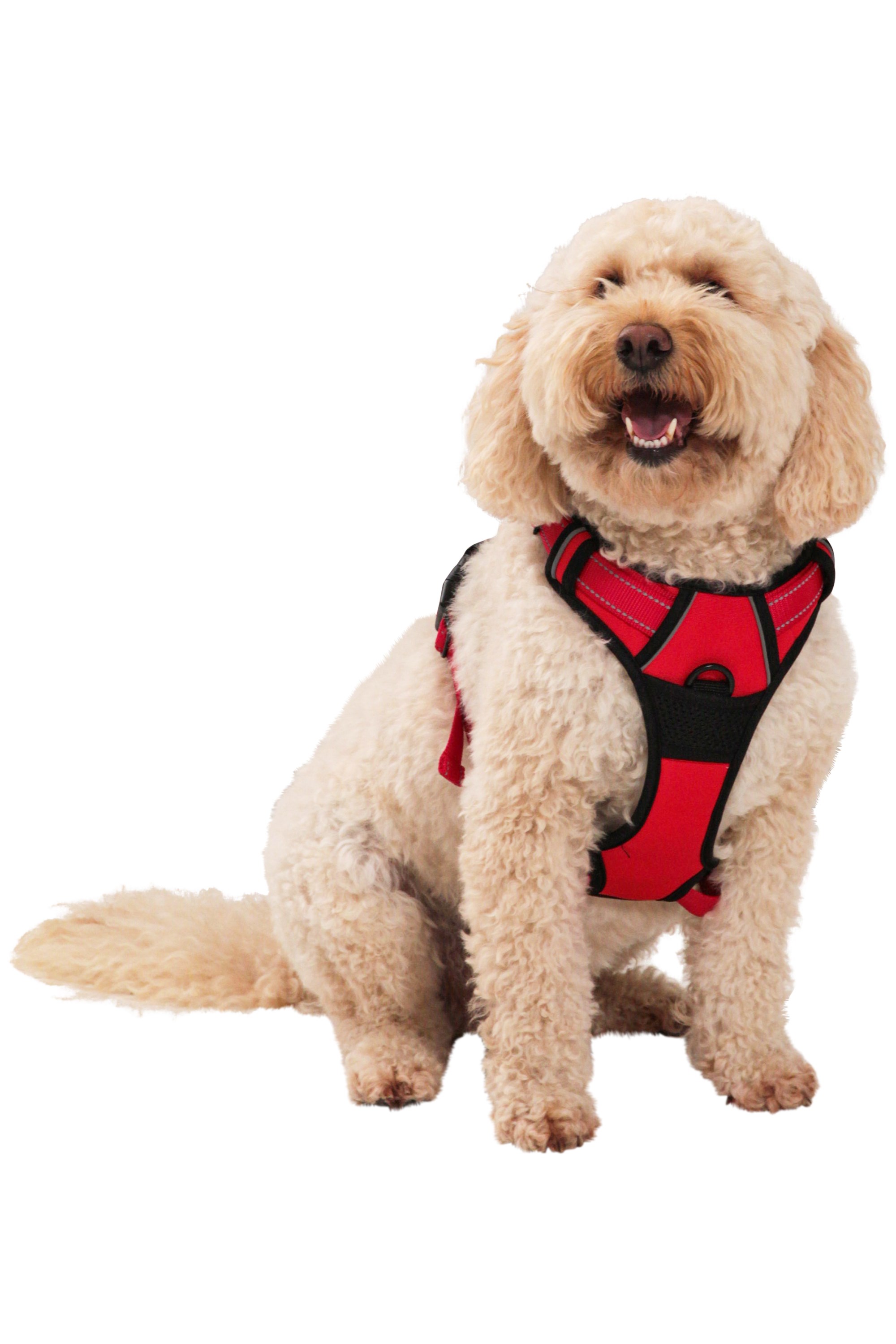 Mountain Warehouse Dog Reflective Padded Harness Medium Red