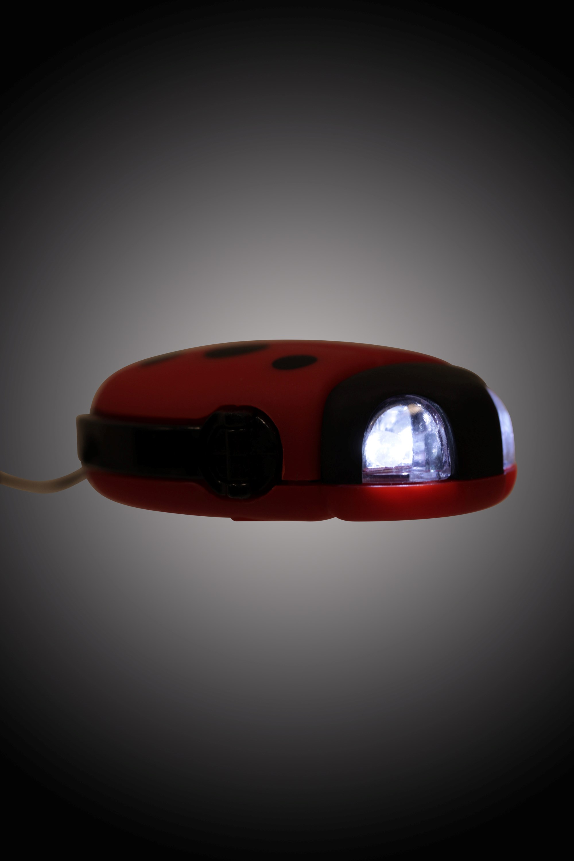 Ladybird Dynamo Flashlight