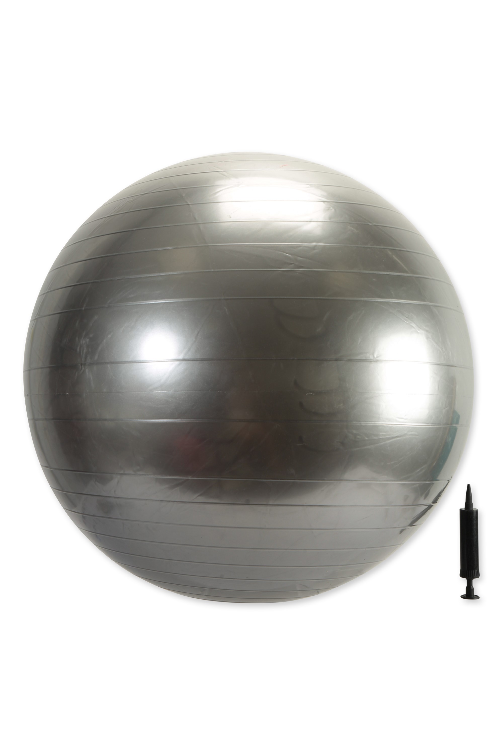 038090 LARGE EXERCISE BALL - Silver