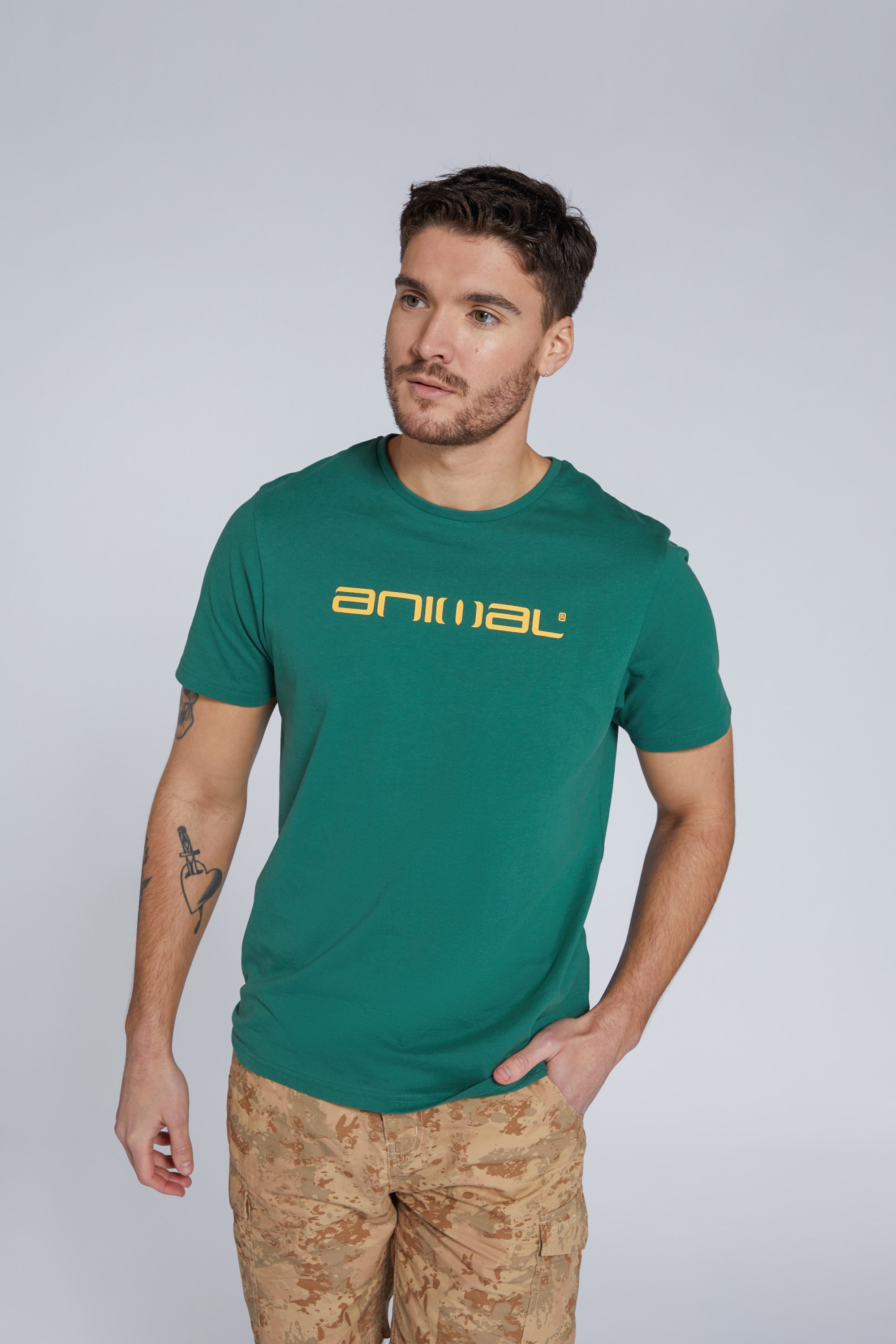 Classico Mens Organic T-shirt - Green