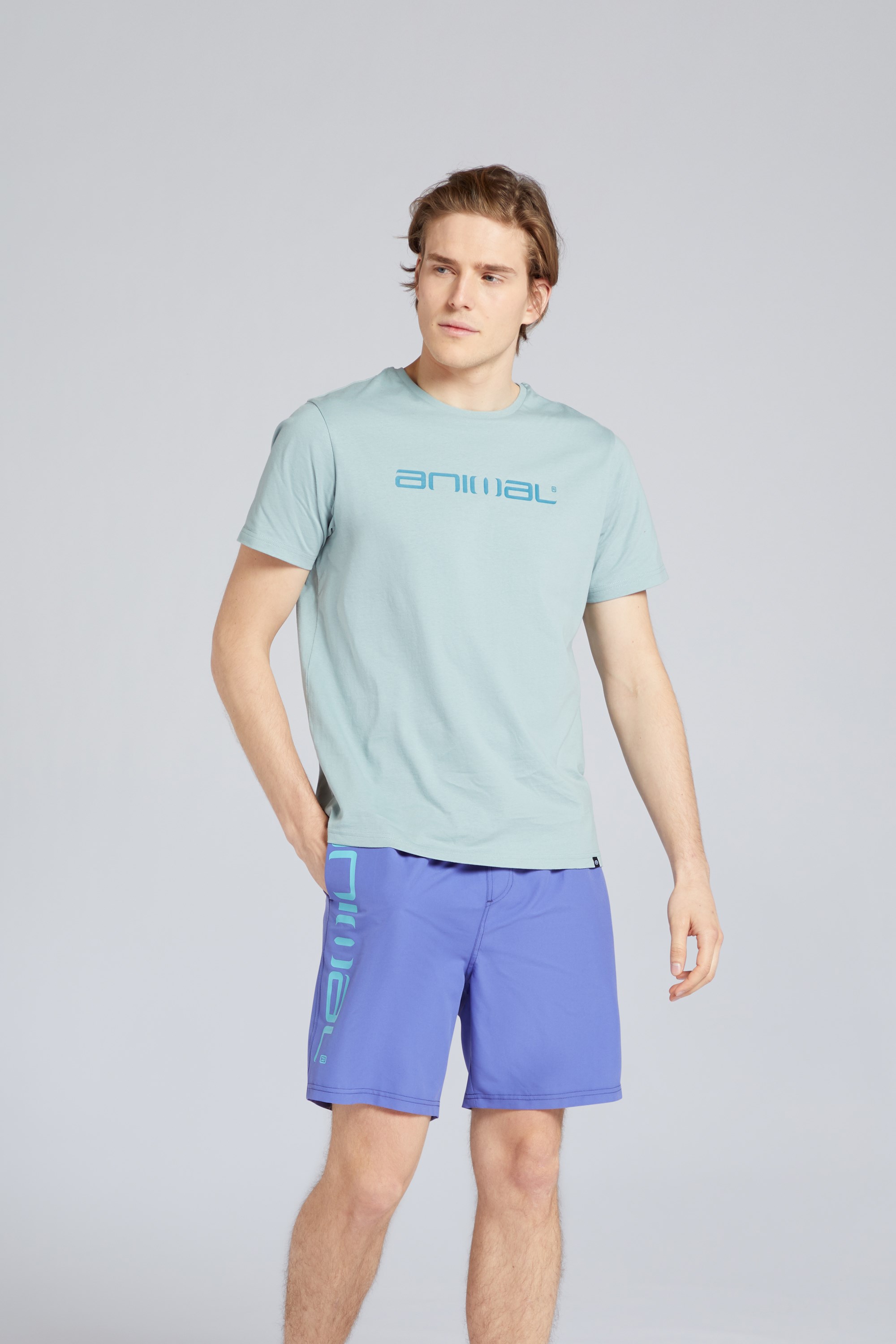 Classico Mens Organic T-shirt - Blue