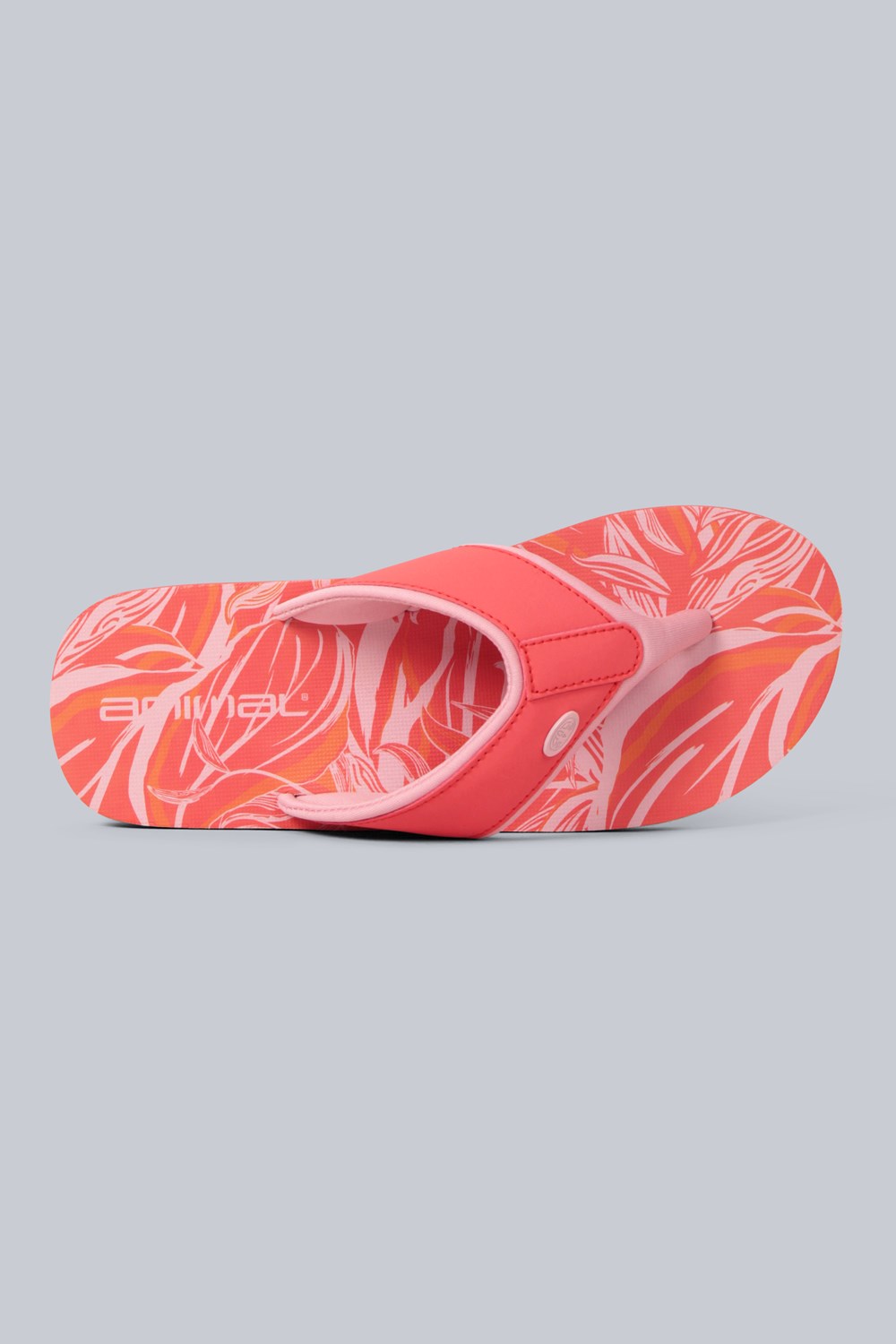 Animal Womens Swish All Over Printed Flip Flop Ladies Beach Summer Sandals - Picture 209 of 293