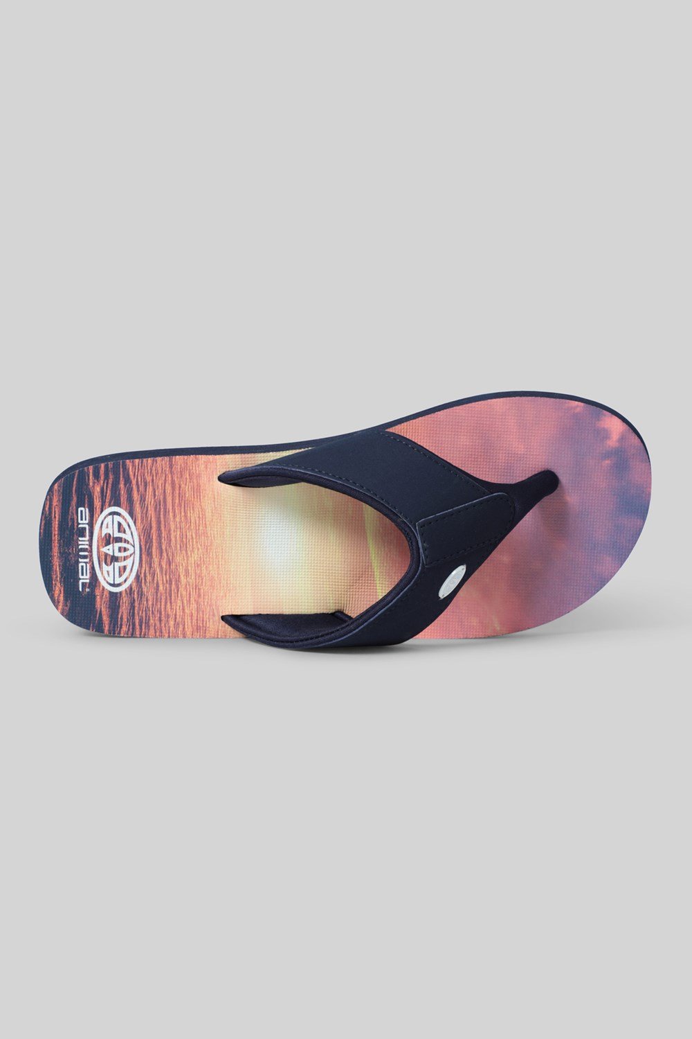 Animal Womens Swish All Over Printed Flip Flop Ladies Beach Summer Sandals - Picture 245 of 293