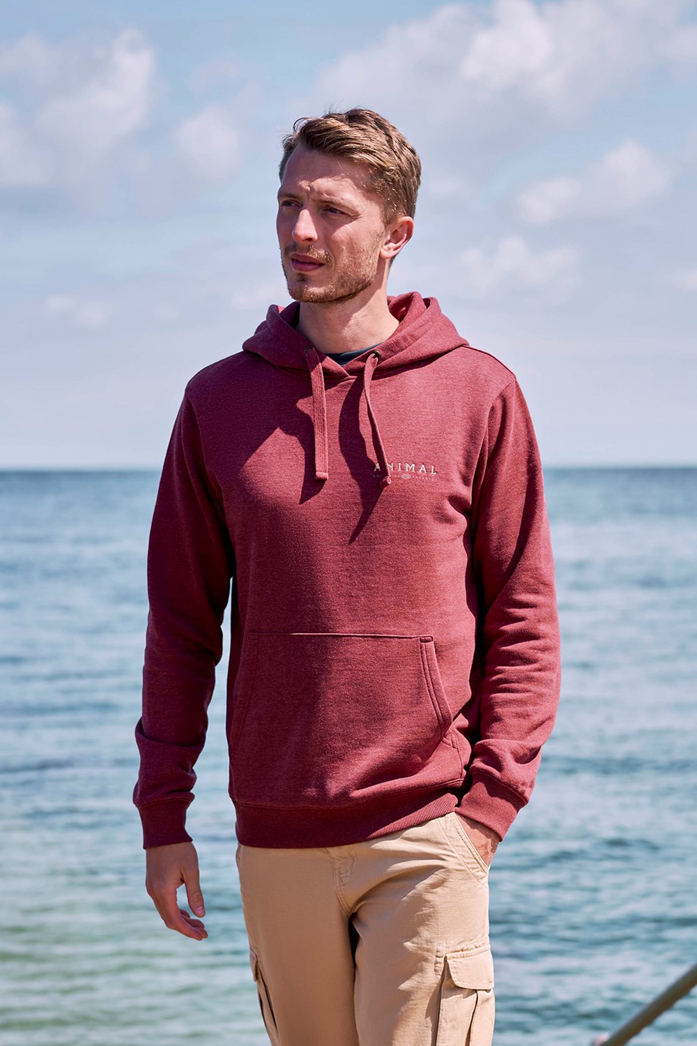 Animal River Men's Hoodie Graphic Printed Hooded Sweatshirt with Pocket - Picture 30 of 83