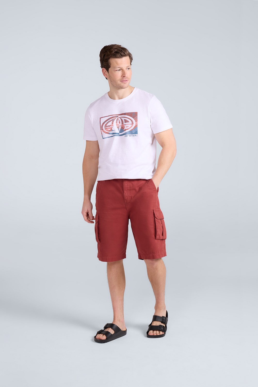 Animal Mens Haze Cargo Shorts Casual Summer Hiking Cotton Short Pants - Picture 20 of 57