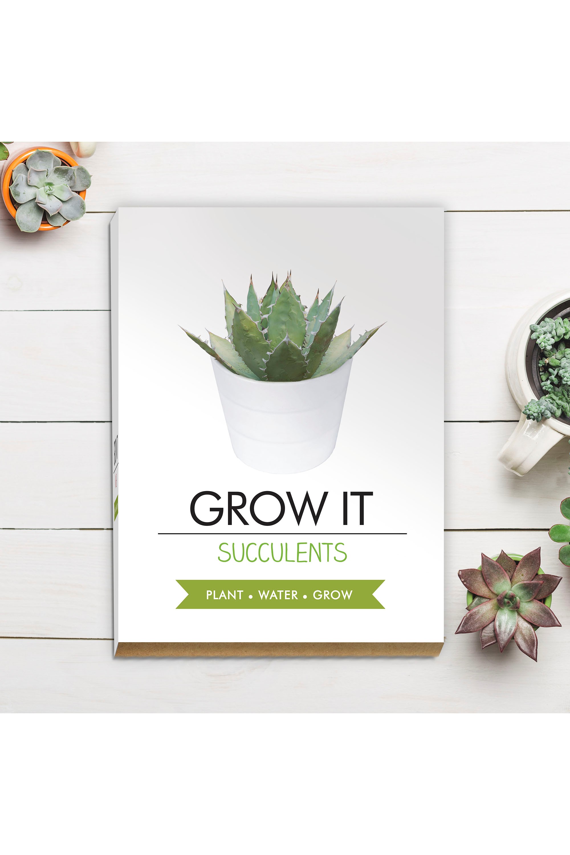 Thomson & Morgan - Succulents Grow Kit - ONE